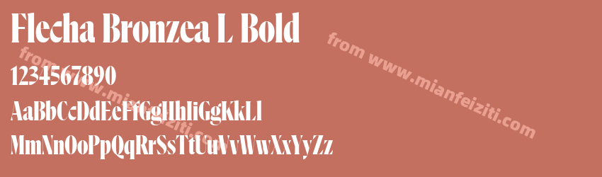Flecha Bronzea L Bold预览图1 Flecha Bronzea L Bold预览图1