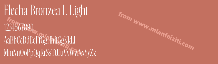 Flecha Bronzea L Light预览图1 Flecha Bronzea L Light预览图1