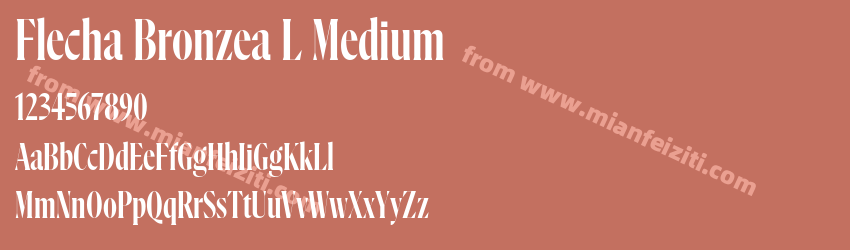 Flecha Bronzea L Medium预览图1 Flecha Bronzea L Medium预览图1