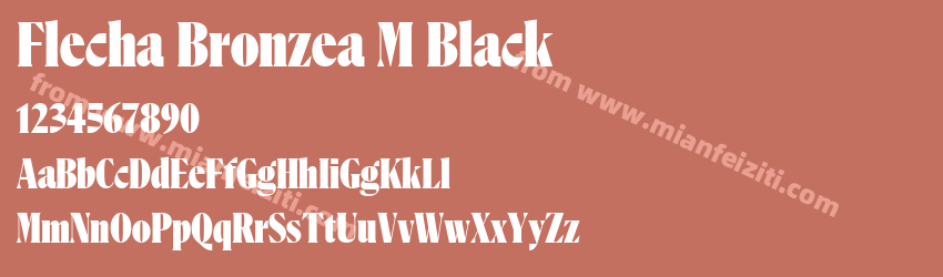 Flecha Bronzea M Black预览图1 Flecha Bronzea M Black预览图1