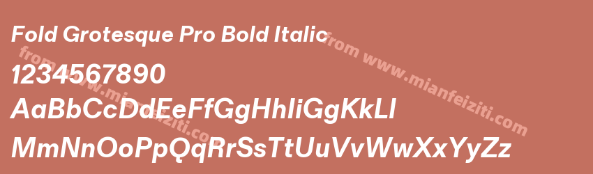 Fold Grotesque Pro Bold Italic预览图1