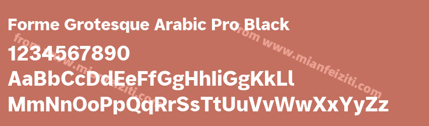 Forme Grotesque Arabic Pro Black预览图1 Forme Grotesque Arabic Pro Black预览图1