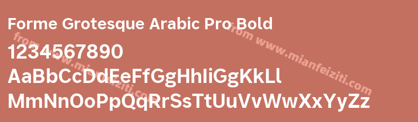 Forme Grotesque Arabic Pro Bold预览图1