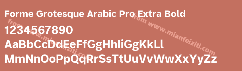 Forme Grotesque Arabic Pro Extra Bold预览图1 Forme Grotesque Arabic Pro Extra Bold预览图1