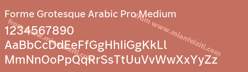 Forme Grotesque Arabic Pro Medium预览图1 Forme Grotesque Arabic Pro Medium预览图1