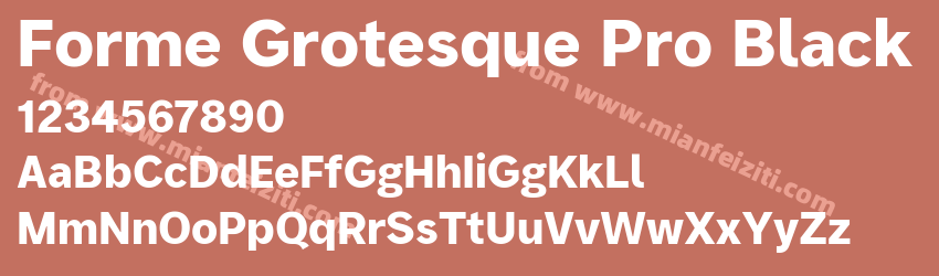 Forme Grotesque Pro Black预览图1 Forme Grotesque Pro Black预览图1