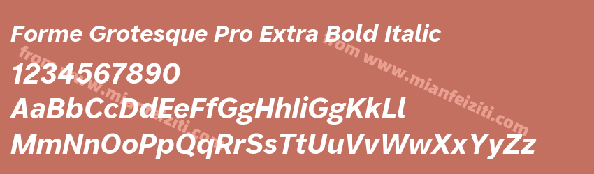 Forme Grotesque Pro Extra Bold Italic预览图1 Forme Grotesque Pro Extra Bold Italic预览图1