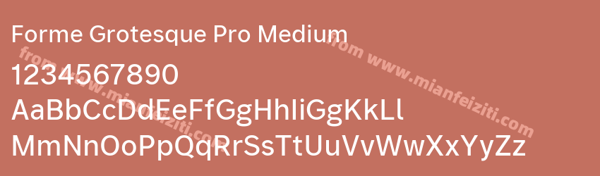 Forme Grotesque Pro Medium预览图1 Forme Grotesque Pro Medium预览图1