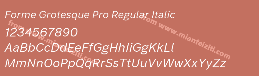 Forme Grotesque Pro Regular Italic预览图1