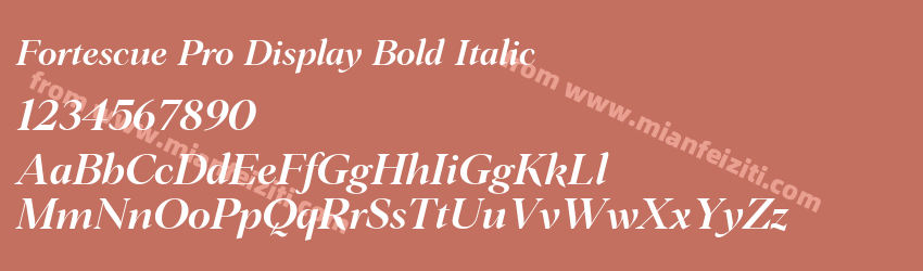 Fortescue Pro Display Bold Italic预览图1 Fortescue Pro Display Bold Italic预览图1