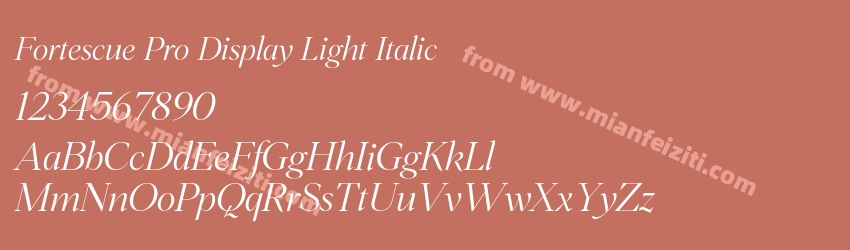 Fortescue Pro Display Light Italic预览图1