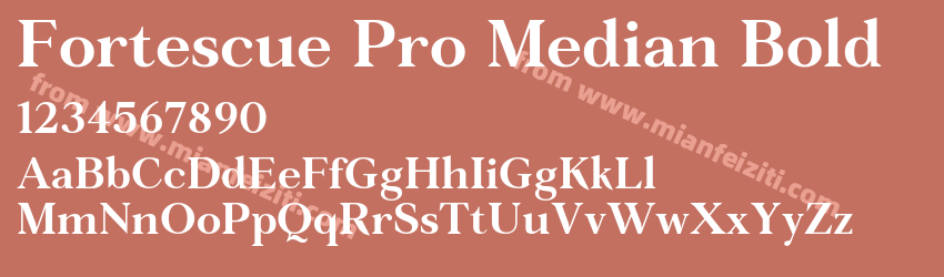 Fortescue Pro Median Bold预览图1 Fortescue Pro Median Bold预览图1