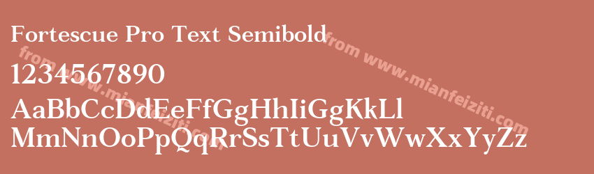 Fortescue Pro Text Semibold预览图1 Fortescue Pro Text Semibold预览图1