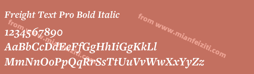 Freight Text Pro Bold Italic预览图1 Freight Text Pro Bold Italic预览图1