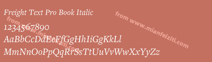 Freight Text Pro Book Italic预览图1 Freight Text Pro Book Italic预览图1