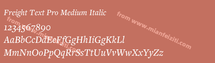 Freight Text Pro Medium Italic预览图1 Freight Text Pro Medium Italic预览图1