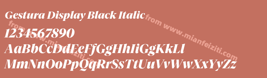 Gestura Display Black Italic预览图1 Gestura Display Black Italic预览图1