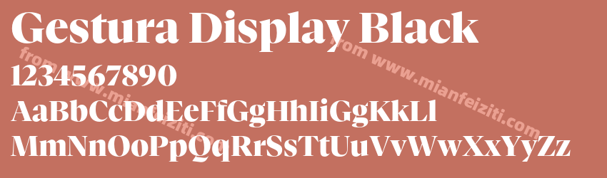 Gestura Display Black预览图1 Gestura Display Black预览图1