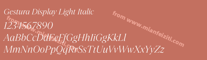 Gestura Display Light Italic预览图1 Gestura Display Light Italic预览图1