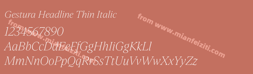 Gestura Headline Thin Italic预览图1