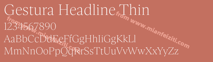 Gestura Headline Thin预览图1 Gestura Headline Thin预览图1