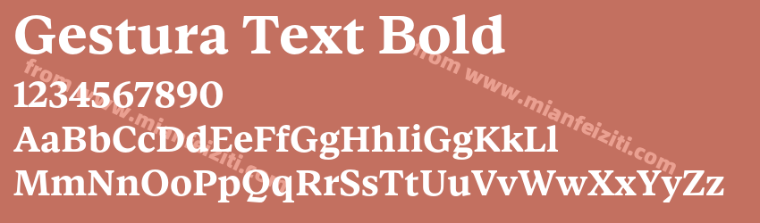 Gestura Text Bold预览图1 Gestura Text Bold预览图1