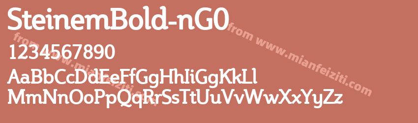 Steinem Bold nG0预览图1
