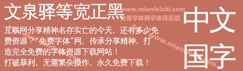 文泉驿等宽正黑预览图1