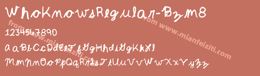 Who Knows Regular Bzm8预览图1