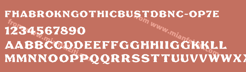 Fhabrokngothicbustdbnc Op7e预览图1