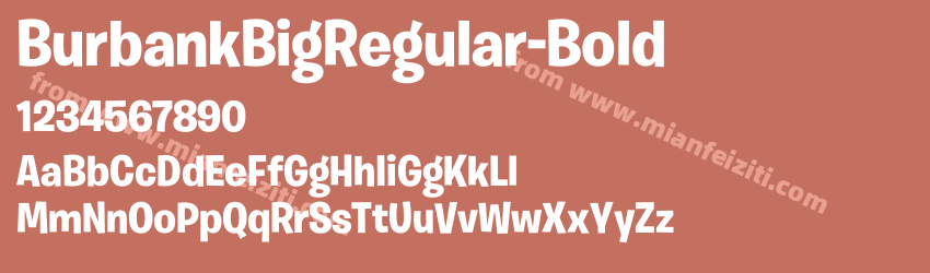 Burbank Big Regular Bold预览图1
