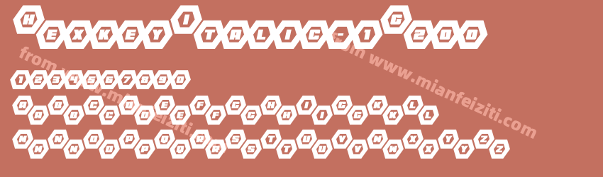 Hexkey Italic 1G200预览图1