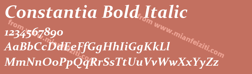 Constantia Bold Italic预览图1