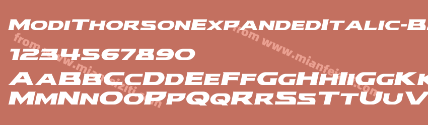 Modi Thorson Expanded Italic B8Y5预览图1
