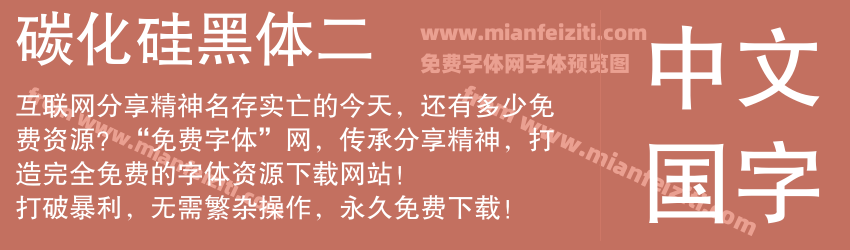 碳化硅黑体二预览图1