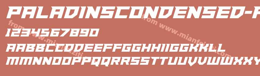 Paladins Condensed rB77预览图1