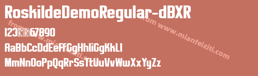Roskilde DEMO Regular预览图1