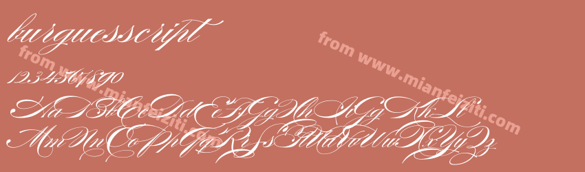 Burgues Script预览图1