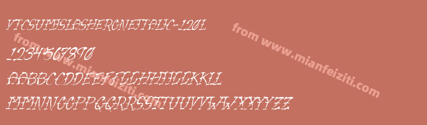 Vtc Sumislasherone Italic 120L预览图1