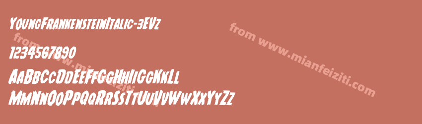 Young Frankenstein Italic 3E Vz预览图1