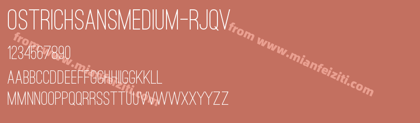 Ostrich Sans Medium Rjqv预览图1