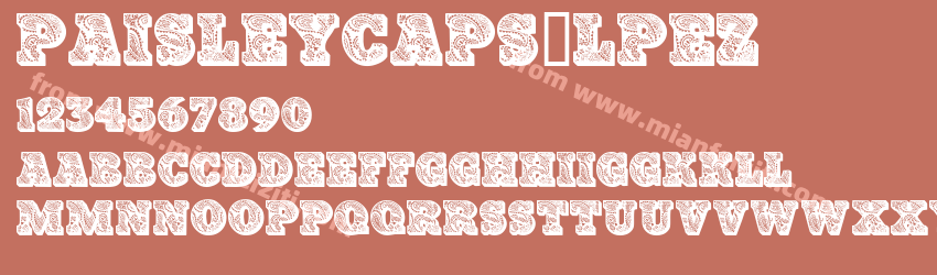 Paisleycaps LPEZ预览图1