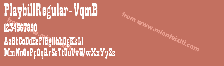 Playbill Regular VqmB预览图1