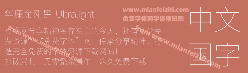 华康金刚黑 Ultralight预览图1