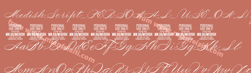 Medish Script PERSONAL USE ONLY预览图1