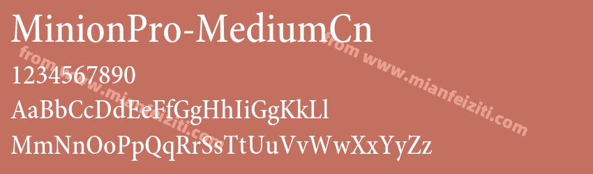 Minion Pro Medium Cn预览图1
