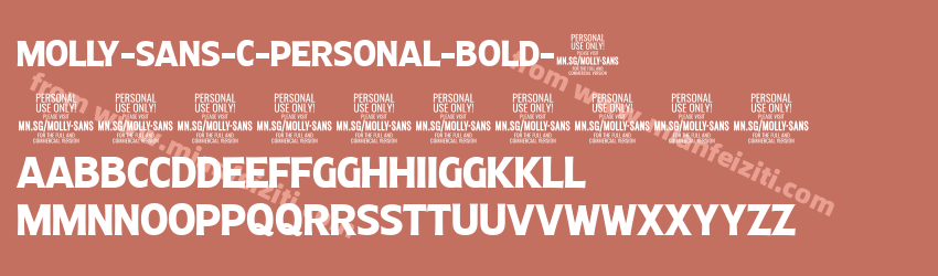 Molly Sans C PERSONAL Bold 2预览图1