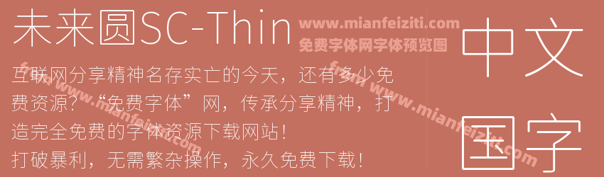 未来圆SC-Thin预览图1