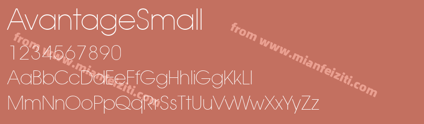 Avantage Small Normal预览图1
