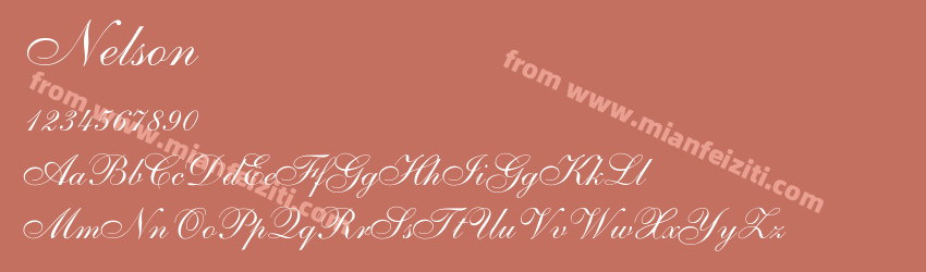 Shelley Allegro Script预览图1